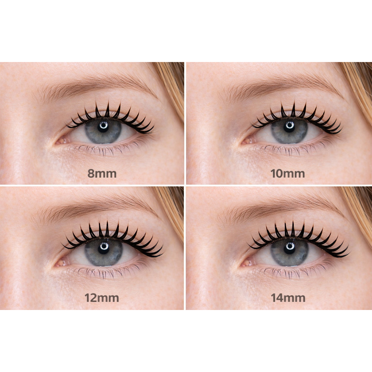 Galaxy Lash Clusters – Defined Volume (BY-2)