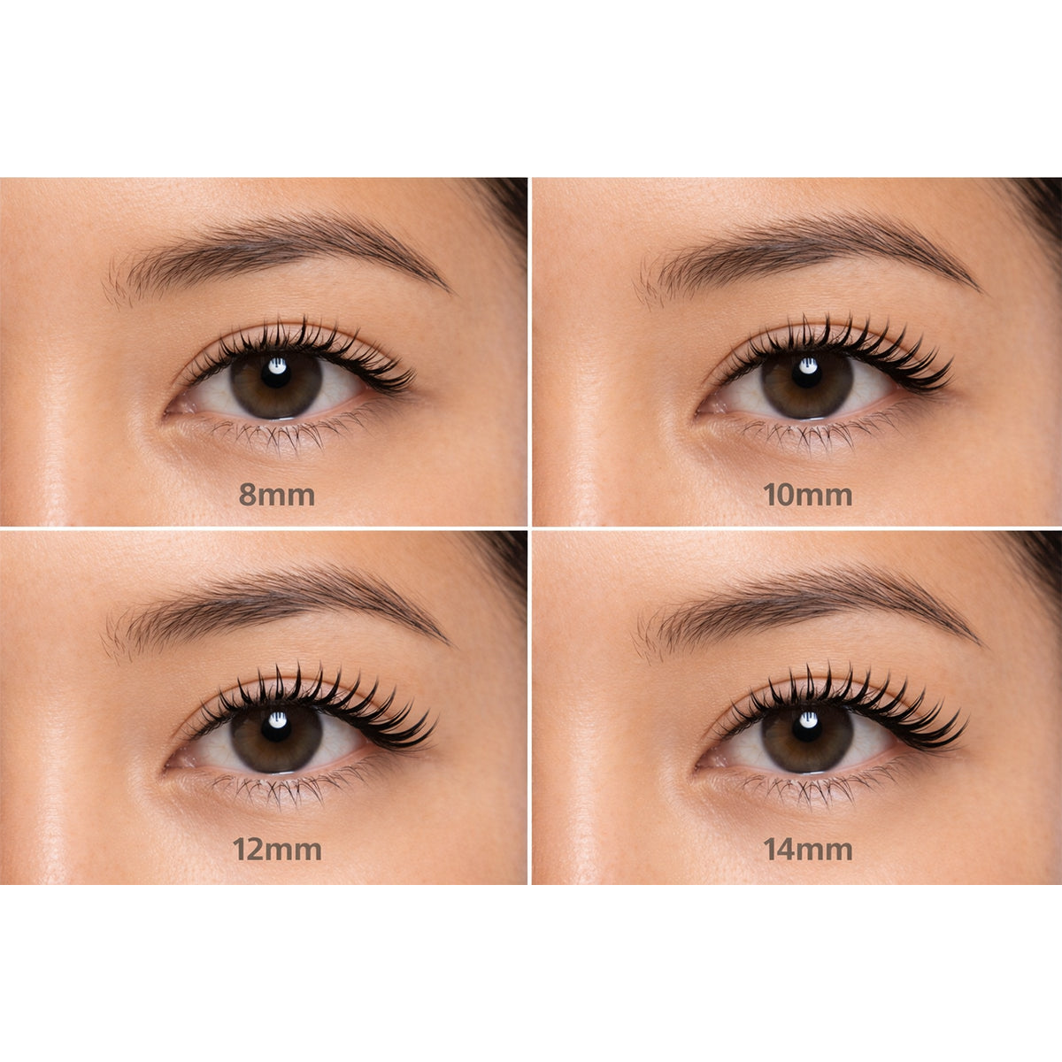 Galaxy Lash Clusters – Natural Volume (HY-2)